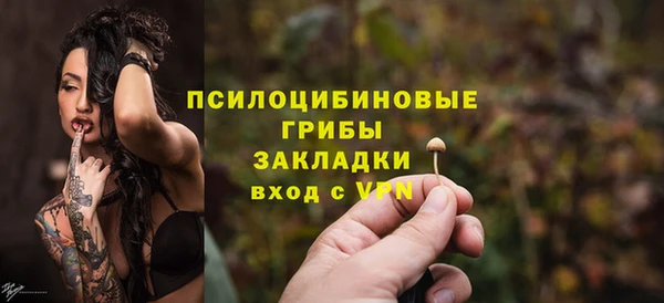 альфа пвп Медвежьегорск