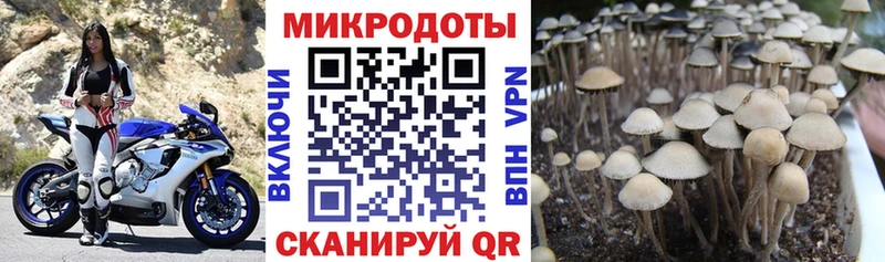 Псилоцибиновые грибы прущие грибы  хочу наркоту  Отрадное 