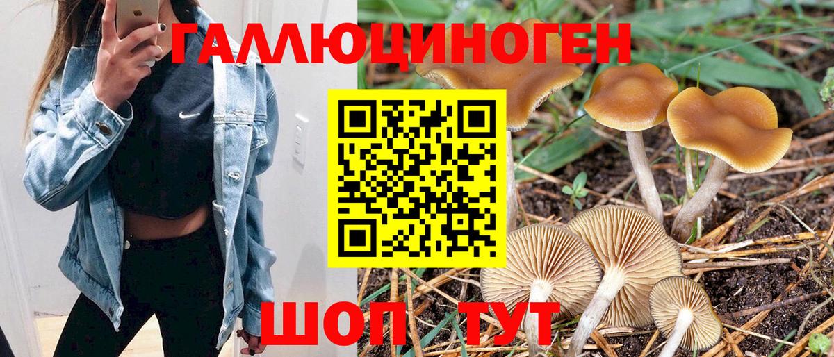 Галлюциногенные грибы Magic Shrooms  Вход с VPN  Отрадное  Галлюциногенные грибы прущие грибы 