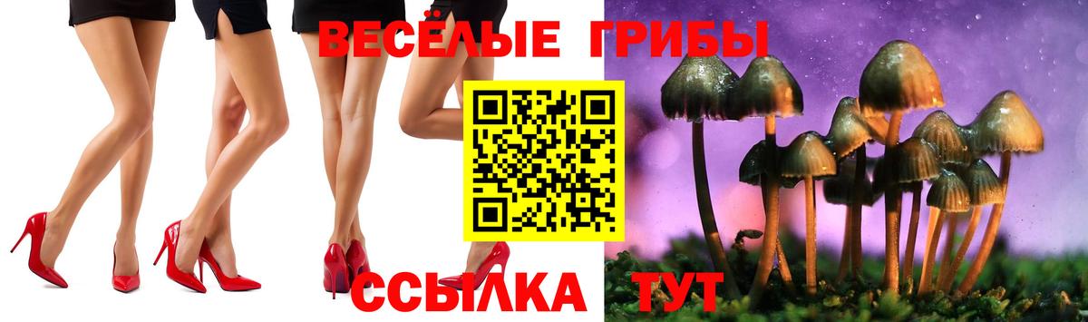Галлюциногенные грибы GOLDEN TEACHER Отрадное